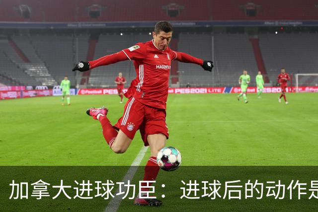 加拿大进球功臣：进球后的动作是给质疑我的媒体，他们可以闭嘴了